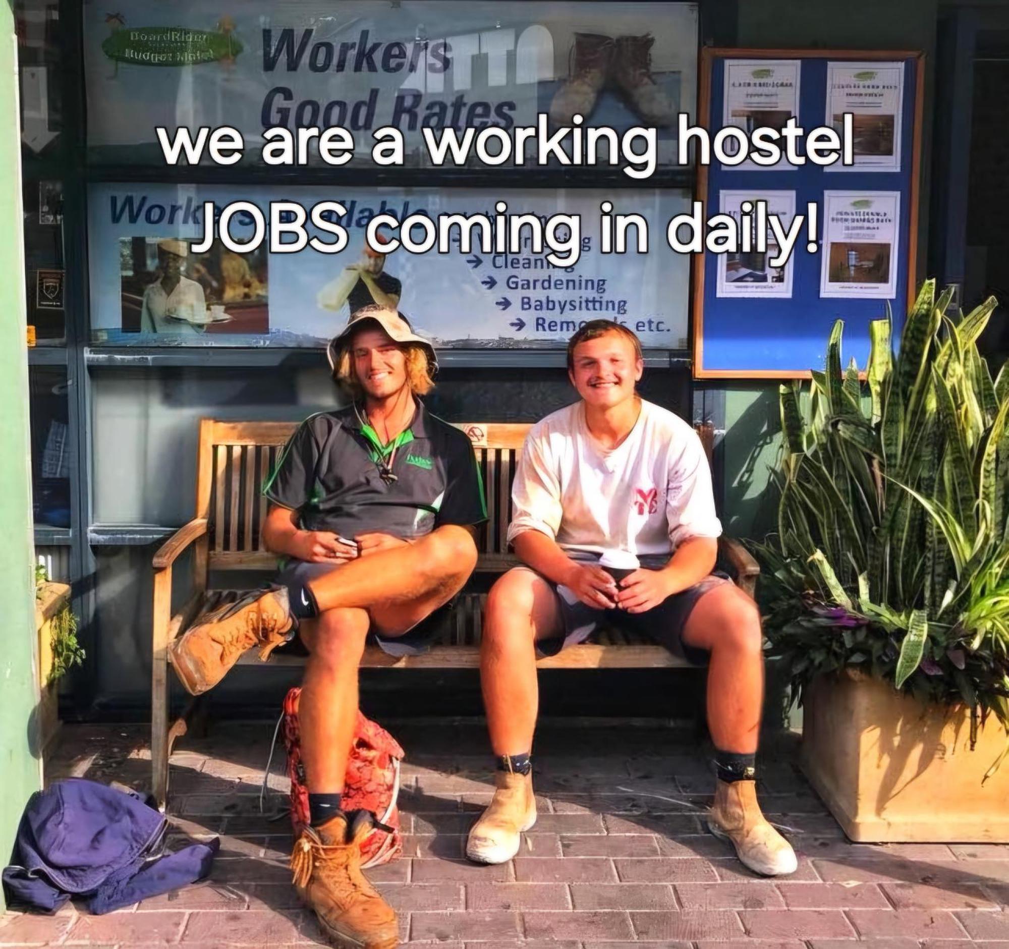 סידני Boardrider Backpackers And Budget Motel מראה חיצוני תמונה
